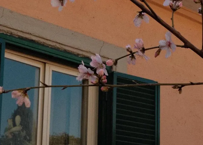 Antico Gelso